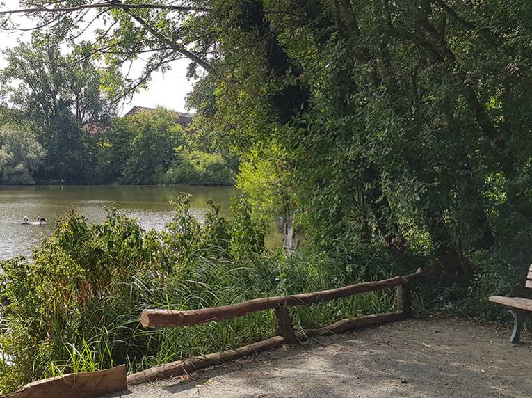 Bank an einem Teich.